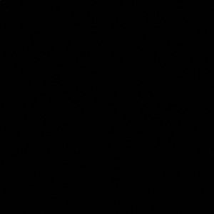 Meet your Posher, Adriana